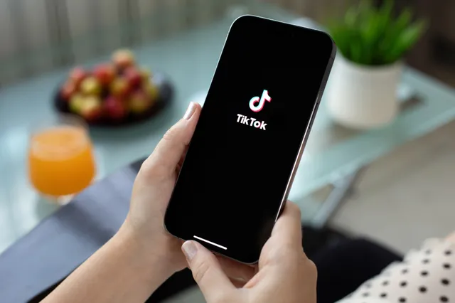 TikTok 2024: Een overzicht van de toptrends van het afgelopen jaar