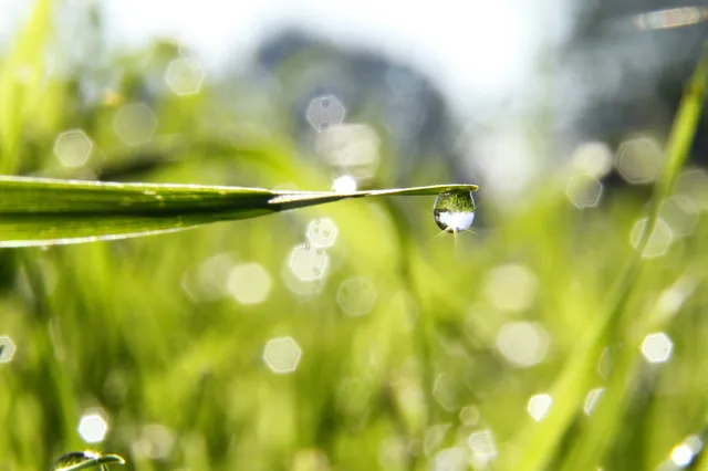 Goedemorgen, het is vandaag maandag 2 februari