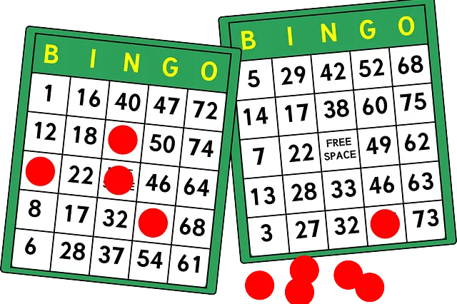Bingo Image