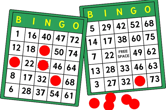 Bingo van de Zonnebloem Image