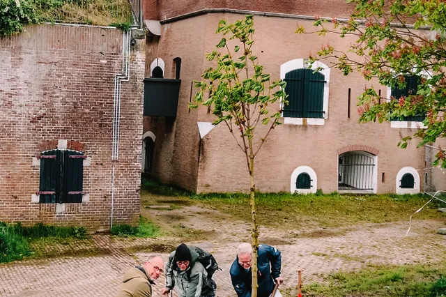 Kastanjeboom geplant op het Fort in Ooltgensplaat