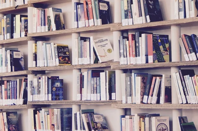 Aantal bibliotheekleden voor tweede jaar op rij toegenomen