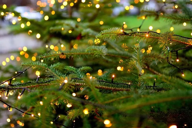 Laat kerst niet in vlammen opgaan