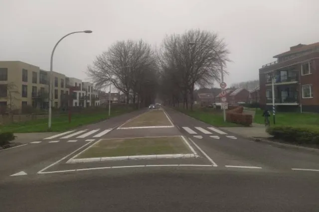Verkeershinder in Ouddorp door snoeien