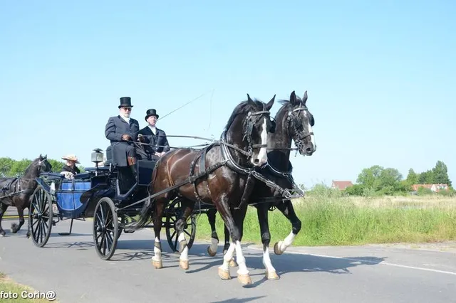 Oude tijden herleven met antieke koetsen