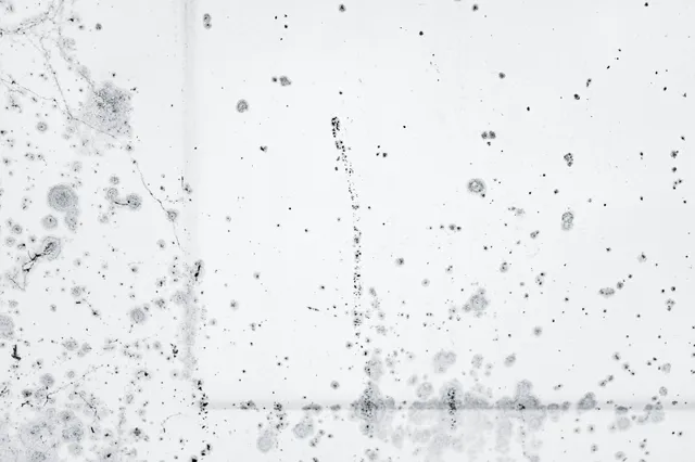 Zo houd je schimmel deze winter uit je huis