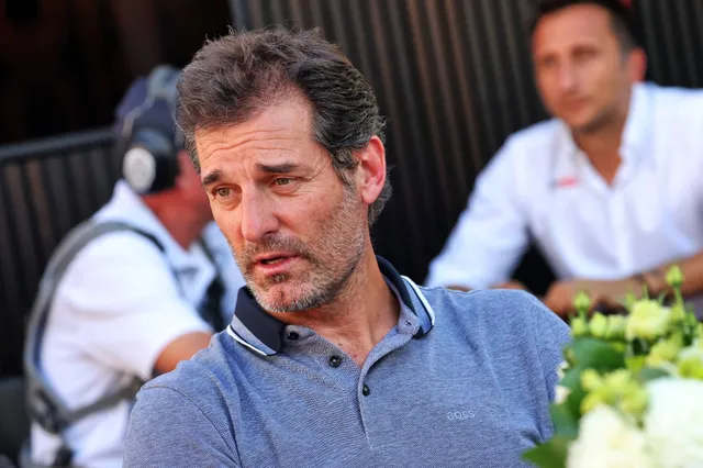 Webber on Piastri: "He needs to find the strength to fight back"