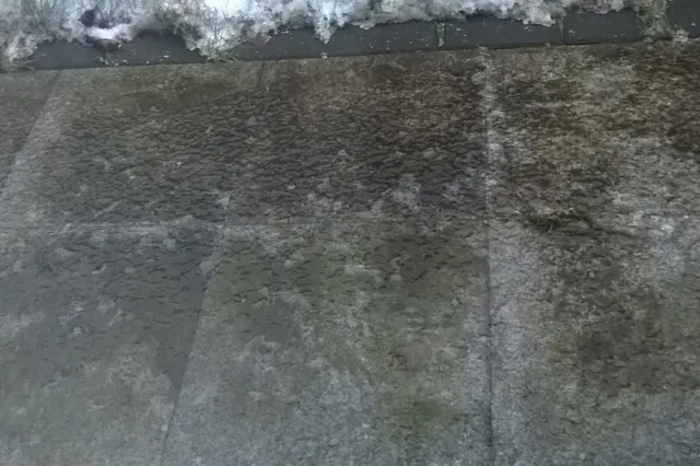 Geen bussen in Groningen en Drenthe vanwege code rood voor gladheid (Update)