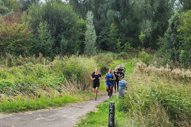 KardingeRun Image