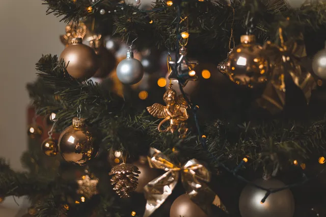 Vrouw vindt onverwachte gast in haar kerstboom: "Ik was in shock"