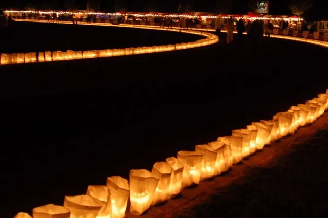 De Lichtjesloop Harderwijk