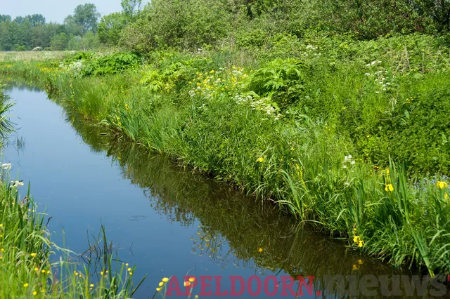 Noodzaak betere bescherming waterkwaliteit in Nederland