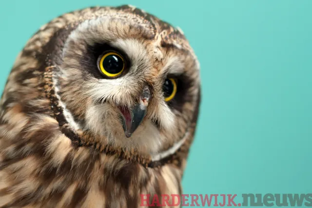 Wintertijd dus een uur de klok terug