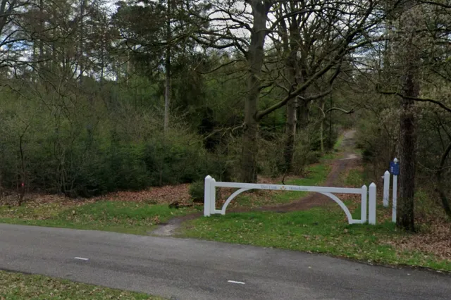 Oproep: kom niet met kleine kinderen in bossen Heuvelrug om wolf