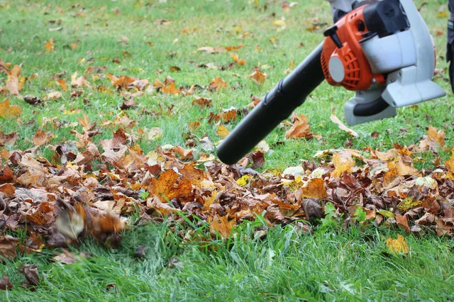 Tuin winterklaar maken: 8 tips voor een goede voorbereiding