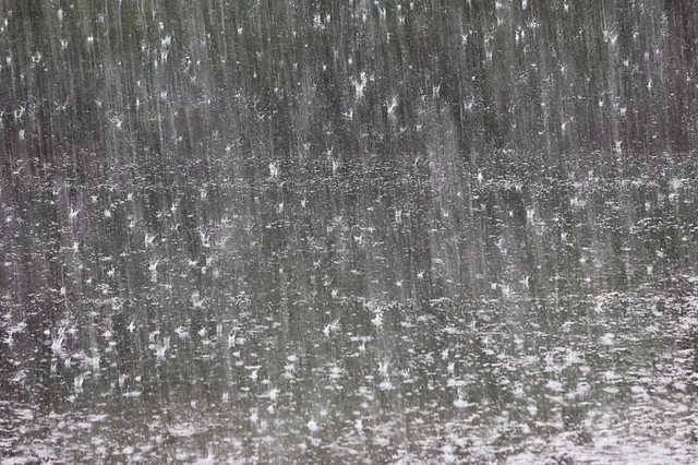 Weerbericht: frisse wind en regen in Harderwijk