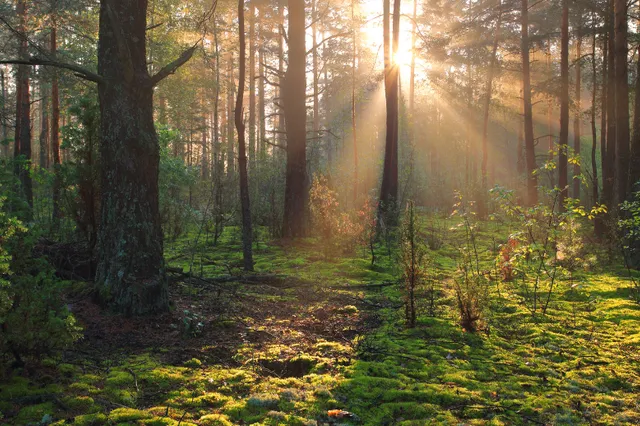 IVN brengt de natuur dichtbij in onze regio