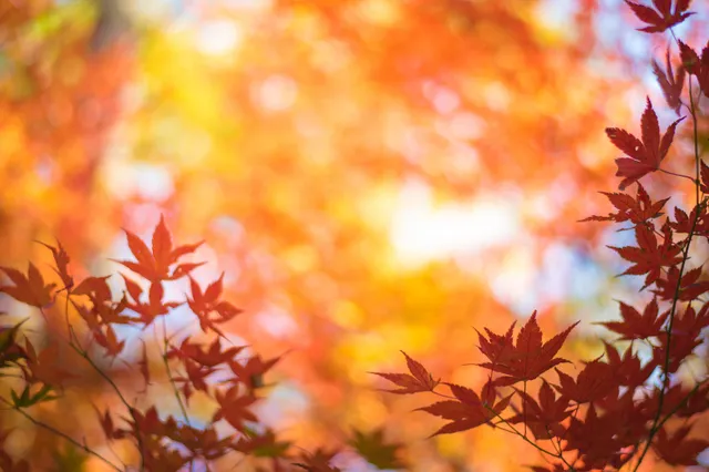 Zonnige dag in Harderwijk: dit zegt de uitgebreide voorspelling voor vandaag