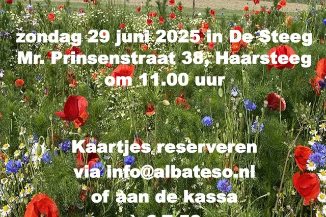 Zingend de zomer in Image