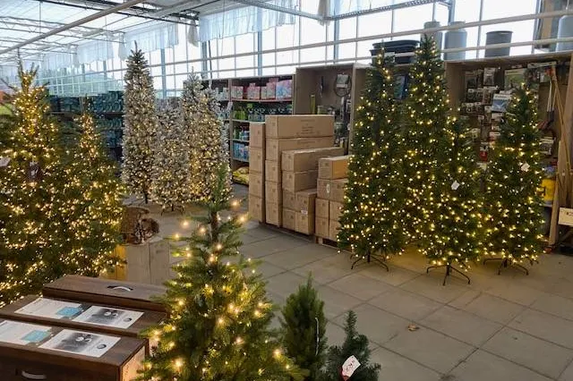 Kom in Kerstsfeer bij Nancy´s Plantenhoekje en Potplantenkwekerij Lansdaal