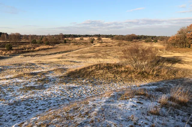 Traditionele Nieuwjaarswandeling Image