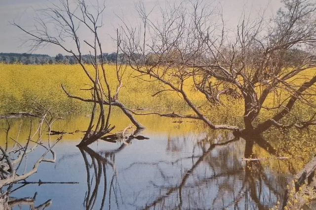 Lezing over de Oostvaardersplassen Image