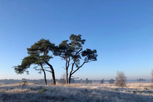 Gierbergen aan de rand van de duinen Image