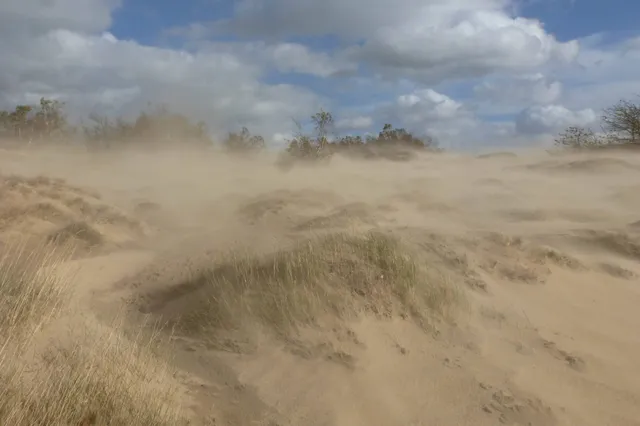 Lezing over ontstaan en aardkunde van de Loonse en Drunense Duinen Image