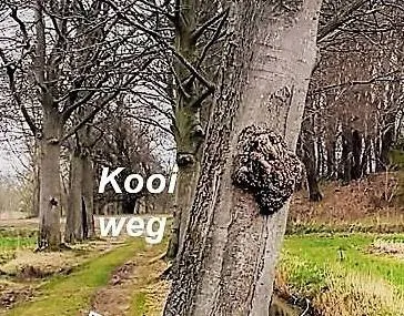 Open middag Zwollemoer Image