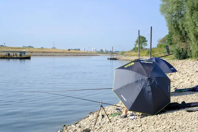 Weerverwachting voor juli en augustus 2024: de zomer komt eraan