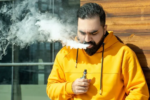 'Levia sticks smeltsigaret heeft al het kwade van vapes in zich'