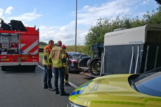 Schokkend ongeluk: Paard zakt op snelweg Breda door trailer en sterft ter plekke