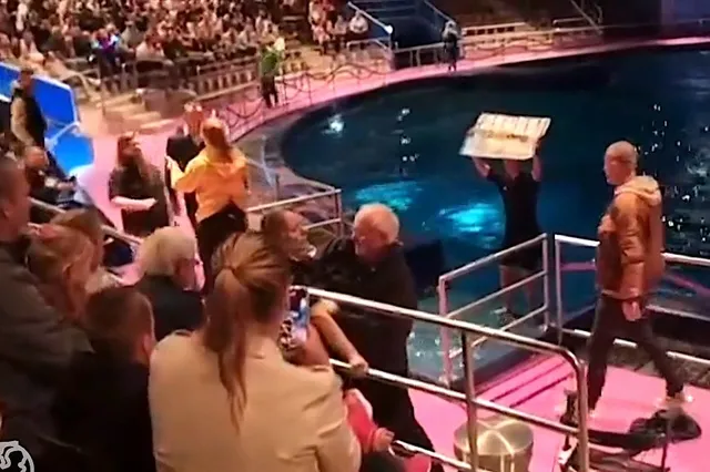 Dierenactivisten bestormen Dolfinarium Harderwijk: schokkende beelden uit het water