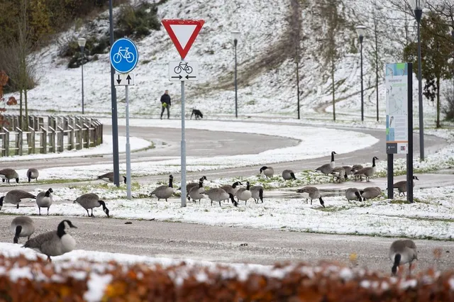 Sneeuw op komst in dit deel van Nederland