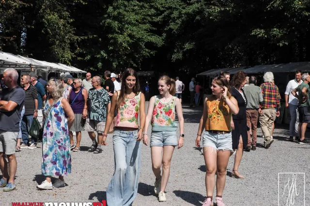Sfeervolle kunstmarkt bij het Witte Kasteel Image
