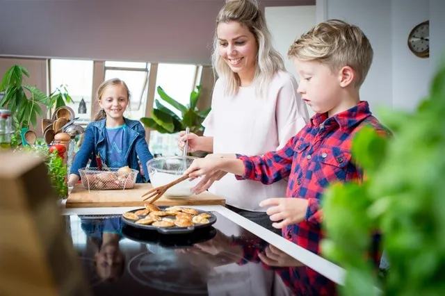 Webpagina ‘Energiek Maasgouw’ helpt bij verduurzamen huis