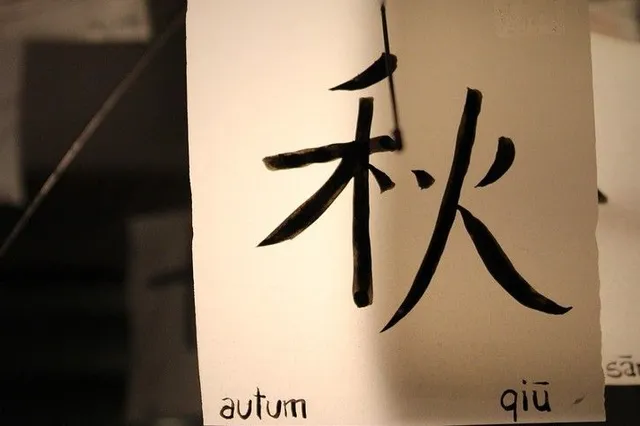 Leer Mandarijn en ontdek de rijke Chinese cultuur