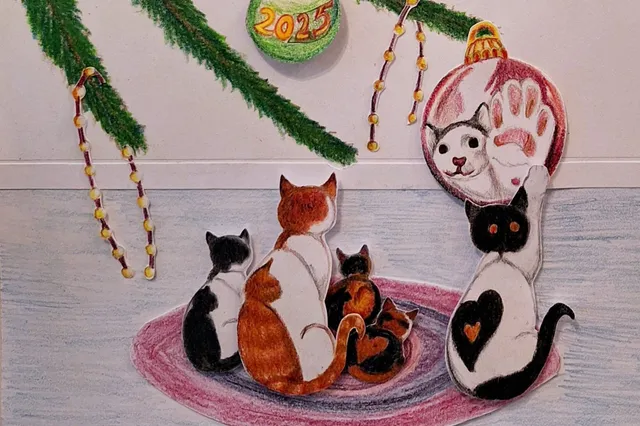 Maasgouw Nieuws wenst iedereen fijne dagen en een gelukkig nieuwjaar