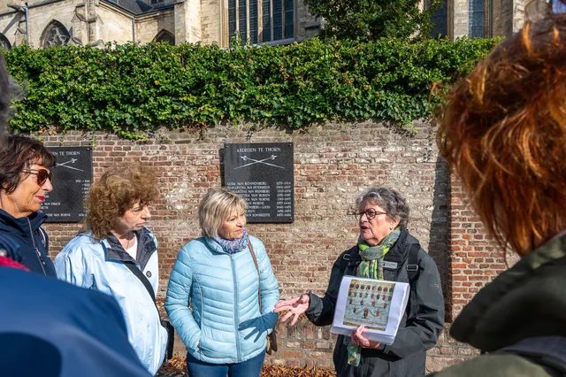 VVV-themawandeling: de machtige vrouwen van Thorn