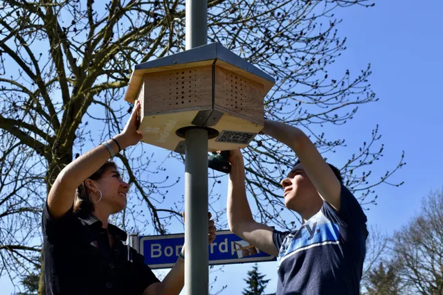 "Great Buzzers" gaan aan de slag