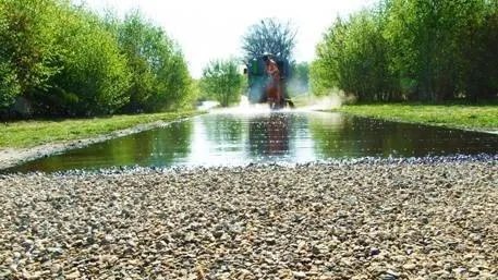 Asfaltonderhoud in Maasgouw