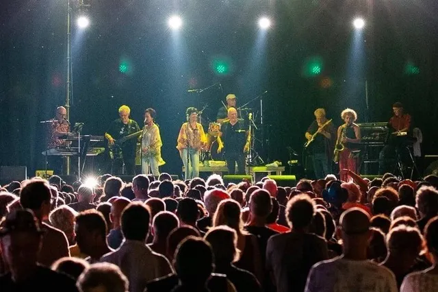 Openluchttheater Thorn: Back on Track brengt ode aan Joe Cocker