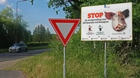 'Afrikaanse varkenspest is een reëel risico'