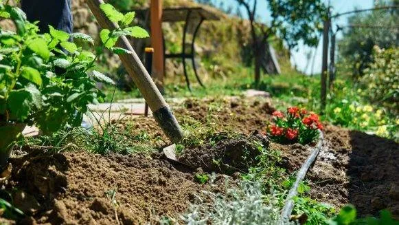 De voortuin van familie De Groot uit Linne bloeit weer. Dat kan bij u ook!