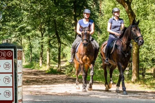 Recreatief paardrijden in Grenspark Maas-Swalm-Nette staat centraal in L1-serie Paardenkracht