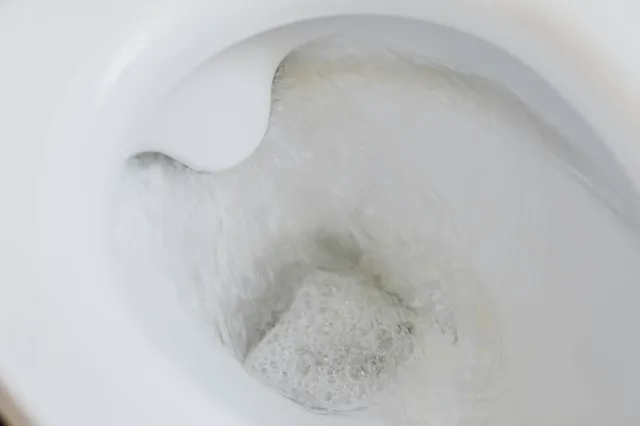Klusexpert deelt de meest gestelde vragen – hoe je een toilet ontstopt staat bovenaan
