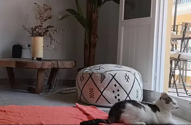 Meditatie zonder kussentje: over aandacht en alledaags bewustzijn