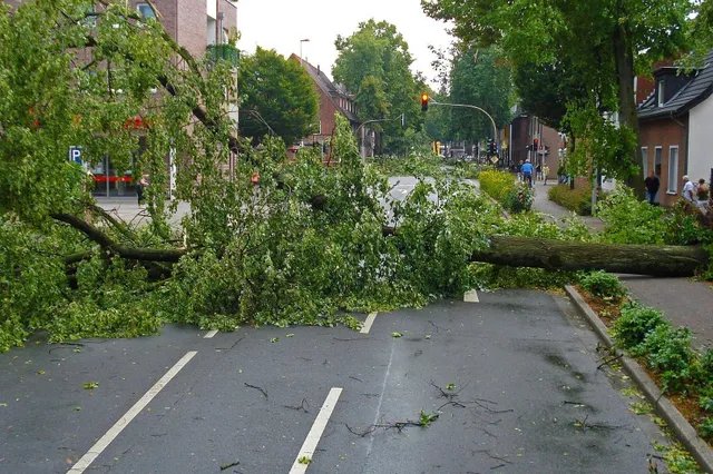 Stormachtig weer: zo bescherm je je huis tegen extreem weer