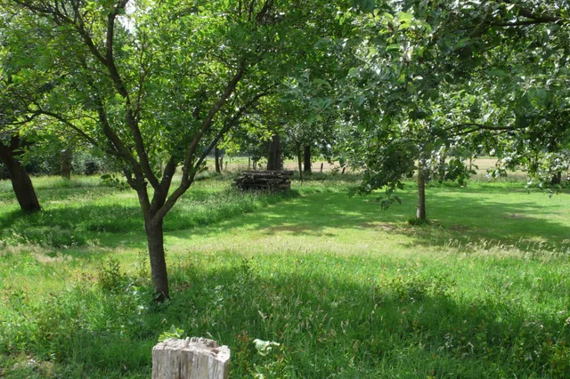 Deelnemers gezocht voor Stimuleringsregeling Landschap en Biodiversiteit