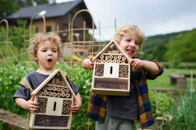 Drentse subsidieregeling Groene Bewonersinitiatieven is nu van kracht